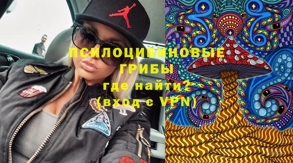 spice Зеленодольск