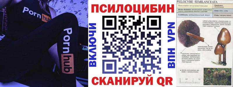 Купить закладки  Вышний Волочёк  Галлюциногенные грибы Magic Shrooms 